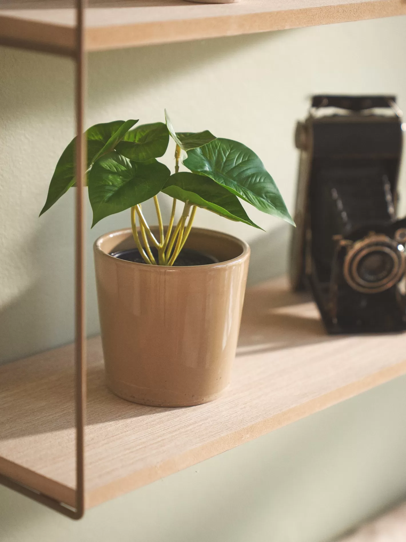 Fashion Kunstig Blomst I Potte Dekoration