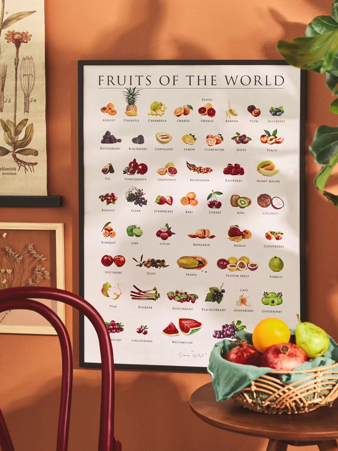 Store Plakat Fruits Of The World 50 X 70 Rammer Og Plakater