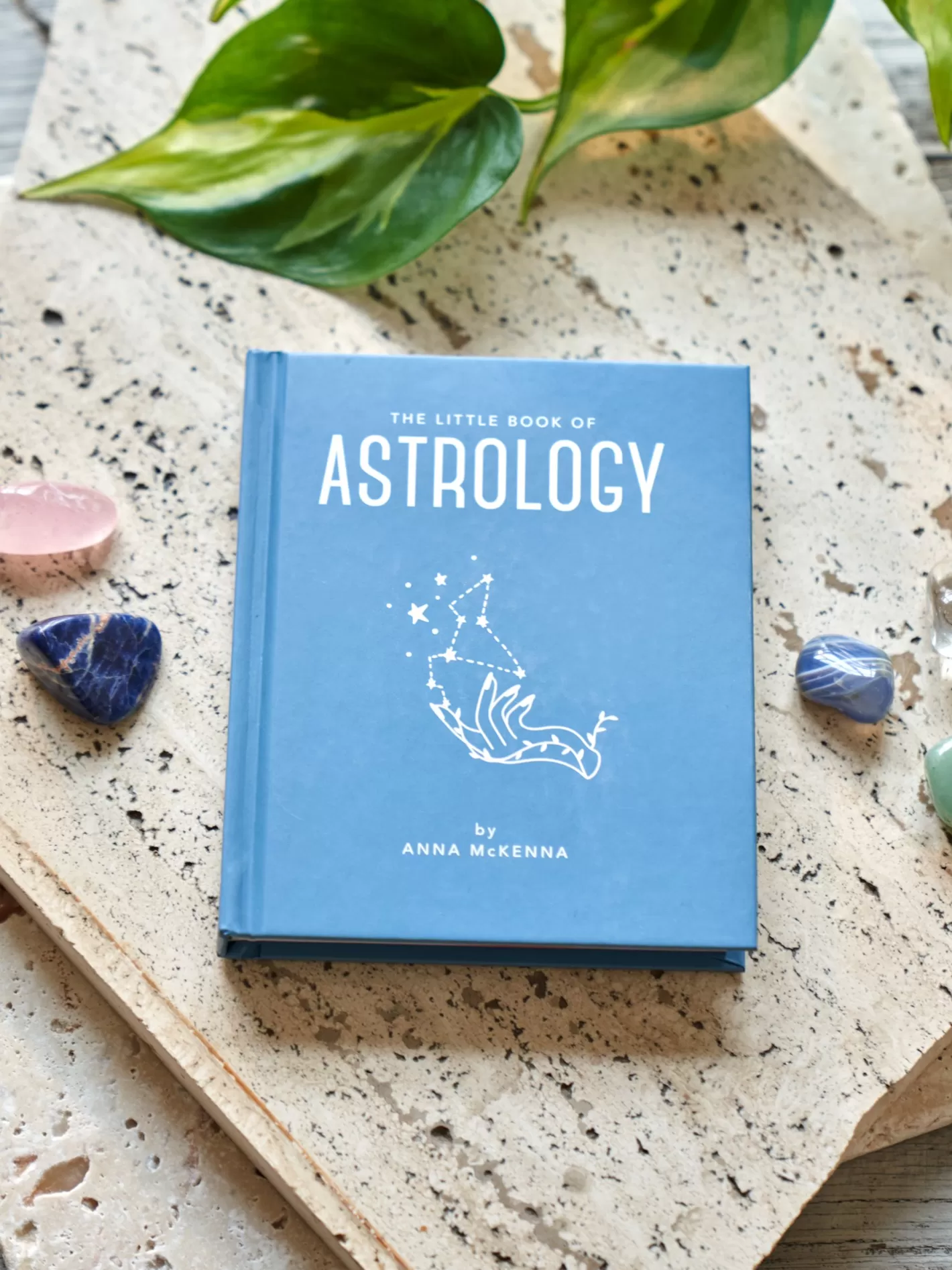 Shop The Little Book Of Astrology Coffee Table Books